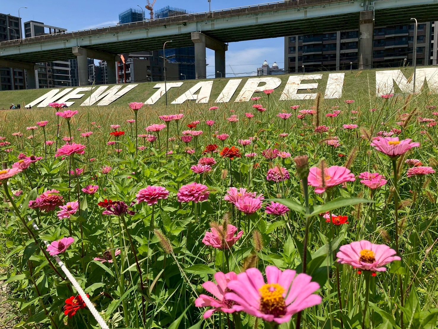 ▲新北花海攝影攻略 順遊北海岸景點。（圖／新北市景觀處提供）