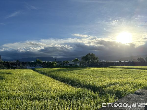 ▲熱浪襲人台東縣政府呼籲永續行動減緩地球慢性熱傷害。（圖／記者楊晨東攝）