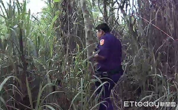 ▲里港警分局員警穿越草叢找人。（圖／記者陳崑福翻攝）