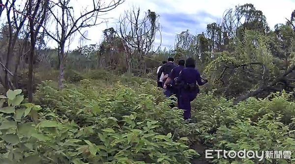 ▲里港警分局員警穿越草叢找人。（圖／記者陳崑福翻攝）
