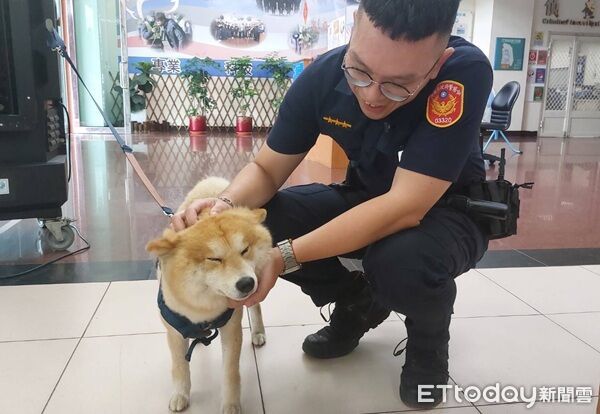 ▲▼十分親人的「阿柴」與員警們互動良好。（圖／桃園警分局提供）