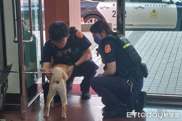 ▲▼十分親人的「阿柴」與員警們互動良好。（圖／桃園警分局提供）