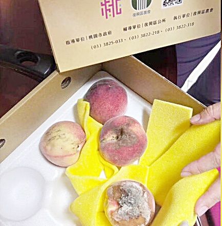 ▲網友在通訊軟體Thread指控，日前到復興區拉拉山遊玩，購買2盒水蜜桃返家卻發現僅一顆能吃。（圖／翻攝自網路Thread）