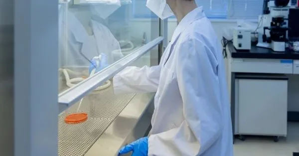 繼中國2名科學家走私生物赴美後，再有一名女科學家未經許可走私生物材料。示意圖。（翻攝自photoAC）