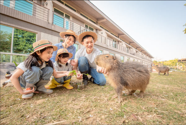 ▲關西六福莊今年暑假推出「金夏PUNCH住房專案」，提供三天兩夜與兩天一夜選擇。（圖／六福旅遊集團提供）
