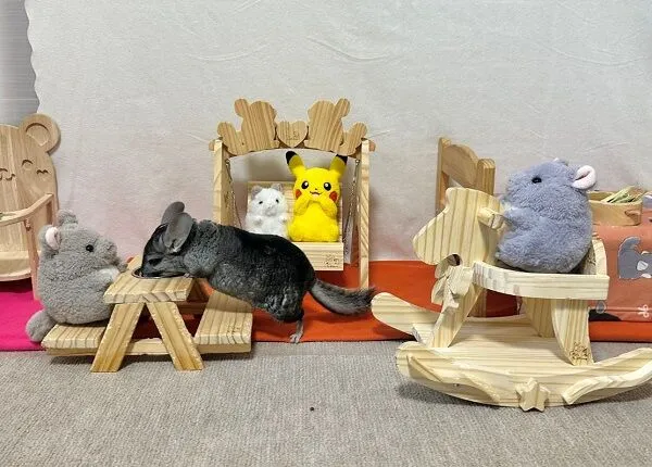 ▲。（圖／翻攝自X／@koyukineko9）