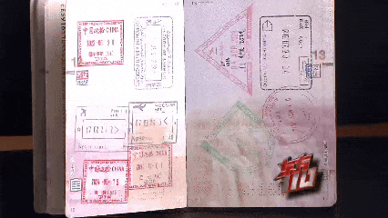 ▲安先生從大學時便四處偷人錢包出國遊玩，畢業後三年已出國破百次。（圖／翻攝看看新聞）