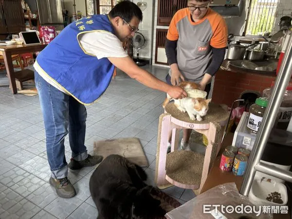 ▲養貓族注意！未登記將挨罰，最重可罰1萬5千元。（圖／記者楊晨東翻攝）