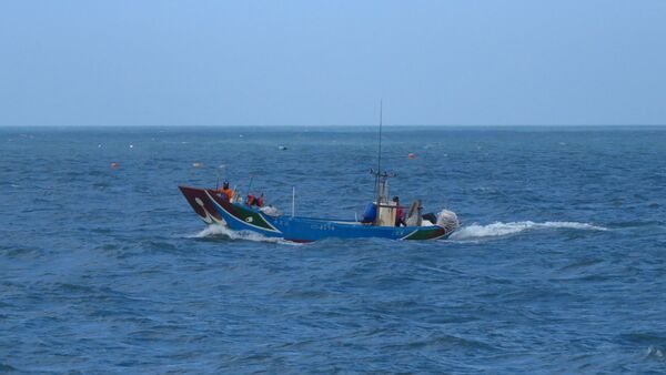 ▲新北6／15起實施魩鱙禁漁期。（圖／新北市漁業處提供）