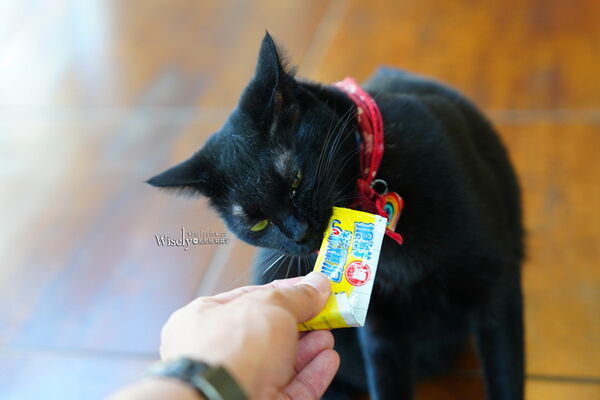 ▲▼力麗循路麓咖啡廳。（圖／部落客WISELY`S 拍拍照寫寫字授權提供）