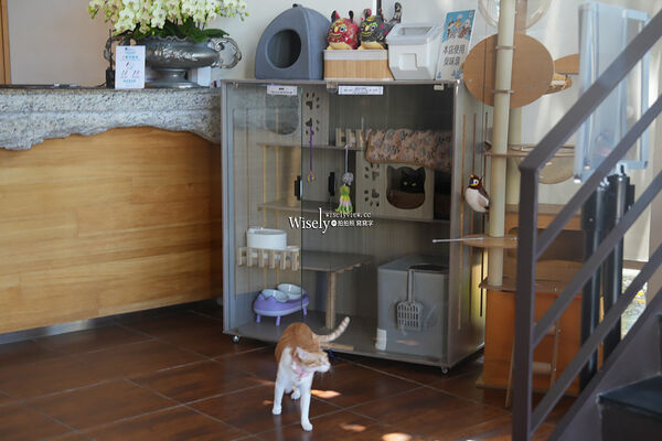 ▲▼力麗循路麓咖啡廳。（圖／部落客WISELY`S 拍拍照寫寫字授權提供）