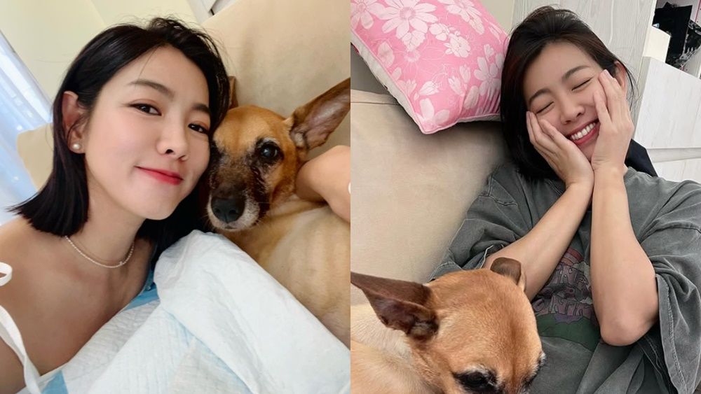▲▼米可白曝愛犬病況。（圖／翻攝自Instagram／mimi00419）