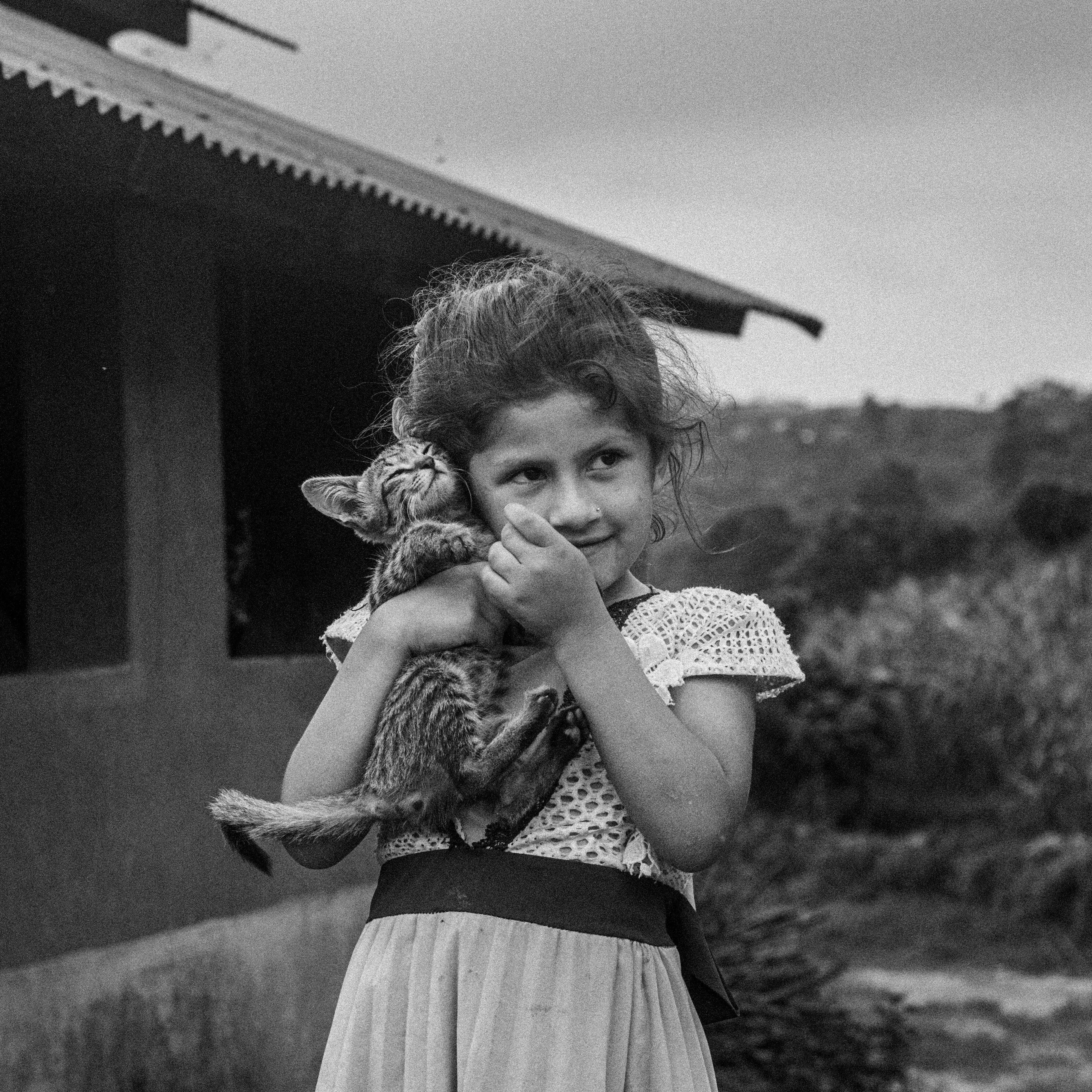 ▲▼寵物,動物,毛小孩,臨終,死亡,陪伴師,歐美。（圖／Pexels）