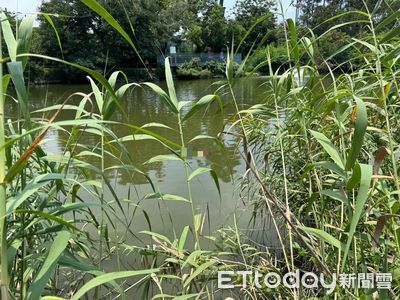 快訊/台南巴克禮公園驚見女浮屍! 民眾報案警消急打撈