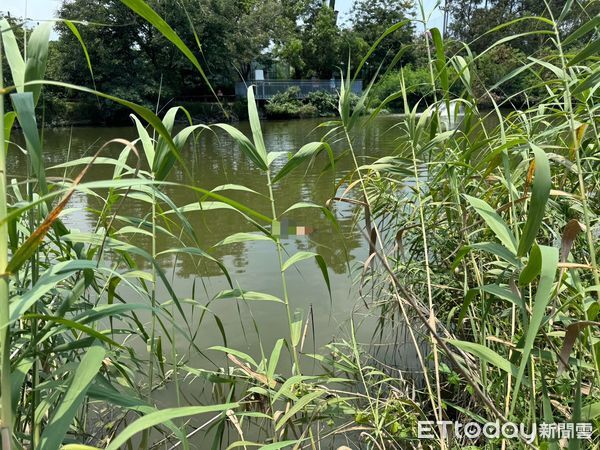 ▲85歲婦人今上午陳屍巴克禮公園水池中，消防人員將其打撈上岸後由一分局警方接手調查。（民眾提供）