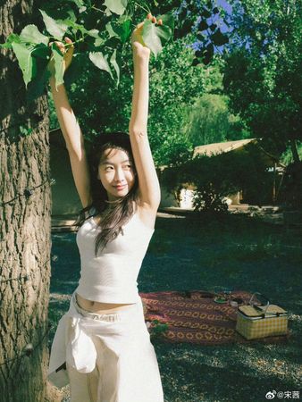 ▲▼             。（圖／翻攝微博@宋茜工作室）