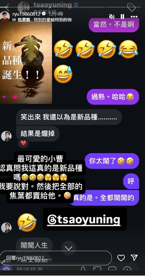 ▲▼劉以豪、曹佑寧私訊對話曝光。（圖／翻攝自IG）