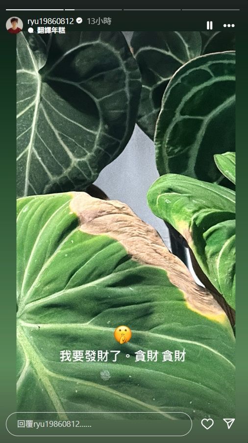 ▲▼劉以豪心愛的植栽葉子變焦了。（圖／翻攝自IG）