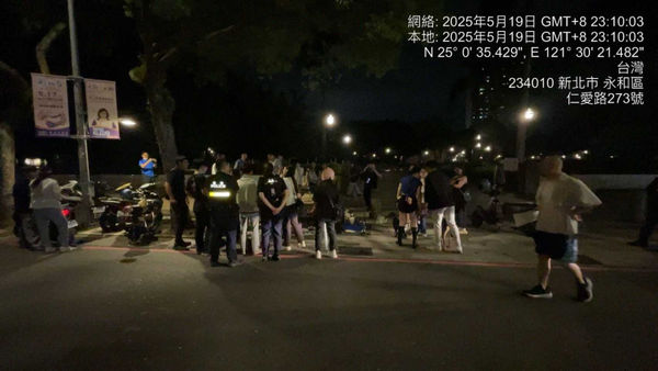 港女狂養23隻寵物！返鄉竟棄養8貓1犬　動保處開罰55萬、列黑名單