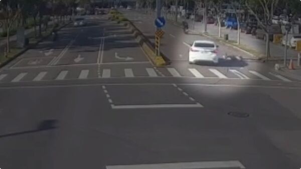 ▲▼路人牽狗走斑馬線被撞到命危。（圖／記者許權毅翻攝）