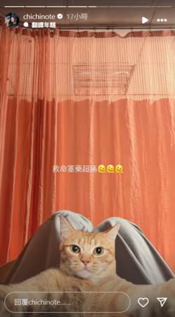 ▲▼織織。（圖／翻攝自Instagram／chichinote）