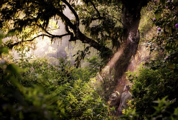 ▲安納塔拉烏布度假酒店（Anantara Ubud Bali Resort）。（圖／美諾酒店集團提供）