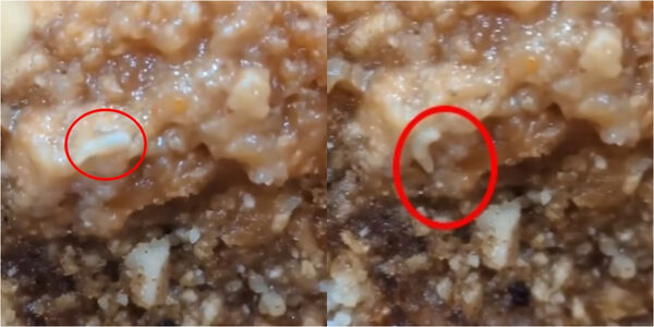 ▲▼             。（圖／edhywbj提供，請勿隨意翻拍，以免侵權。）