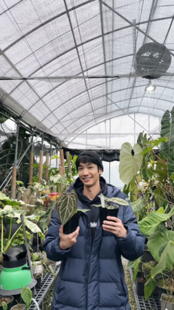 ▲▼劉以豪、曹佑寧私訊對話曝光。（圖／翻攝自IG）