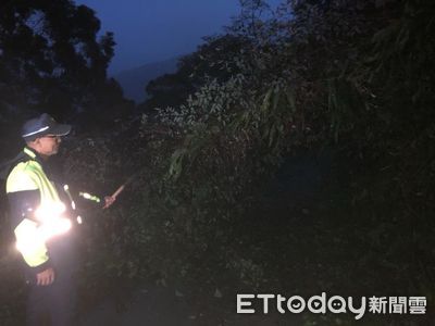 屏東瑪家鄉35線路樹倒塌 內埔警迅速排除...恢復通行