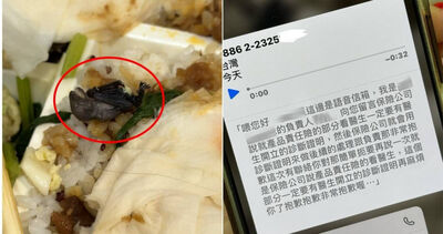 便當吃到一隻蝙蝠!業者跳針「說1事」苦主傻眼 怒投訴衛生局