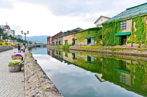 像彩虹一樣的繽紛花田 夏天去北海道才看得見（圖／shutterstock）