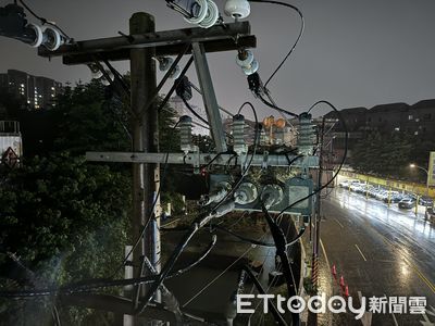 快訊/桃園八德區晚間4324戶停電 台電找到元兇:鳥巢造成饋線跳脫