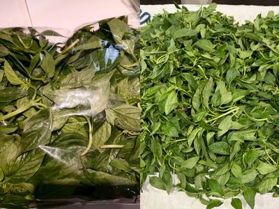 祥和蔬食、非常泰「九層塔」3種農藥超標 北市揪13件蔬果違規