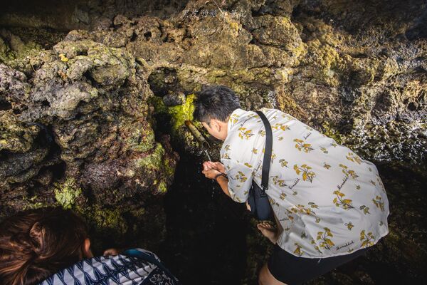 ▲▼海神廟 Pura Luhur Tanah Lot。（圖／部落客黑皮的旅遊筆記授權提供）