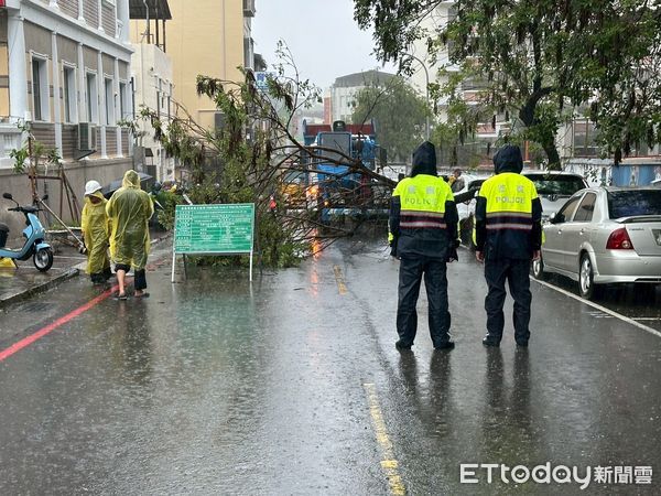 ▲台南市中西區南寧街一棵路樹13日早上因強降雨倒塌，警方拉起封鎖線警戒。（記者林東良翻攝，下同）