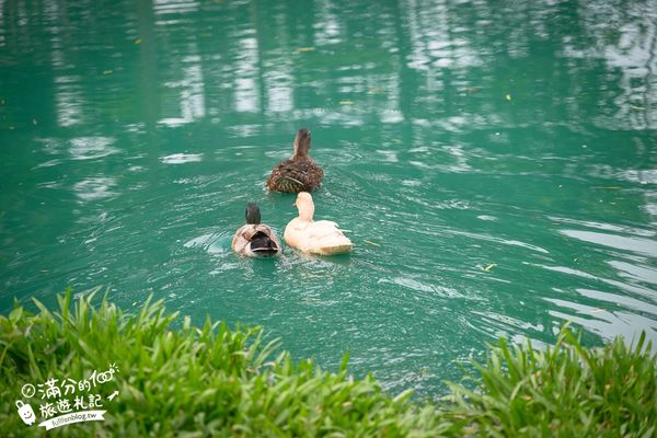 ▲▼喜鵲方舟FairyLand。（圖／部落客滿分的旅遊札記授權提供）
