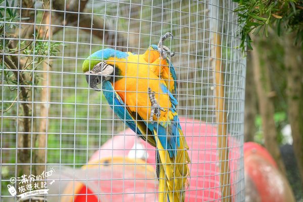 ▲▼喜鵲方舟FairyLand。（圖／部落客滿分的旅遊札記授權提供）