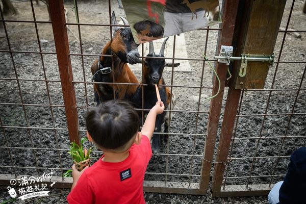 ▲▼喜鵲方舟FairyLand。（圖／部落客滿分的旅遊札記授權提供）