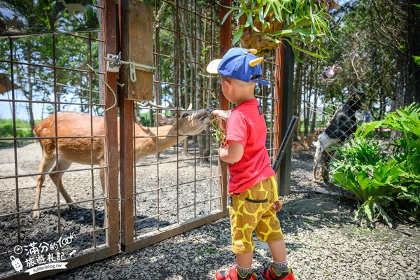 ▲▼喜鵲方舟FairyLand。（圖／部落客滿分的旅遊札記授權提供）