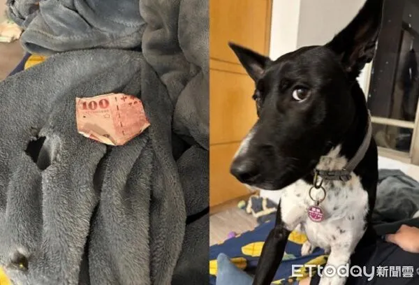 ▲。（圖／Threads@nn621__提供，請勿隨意翻拍，以免侵權。）