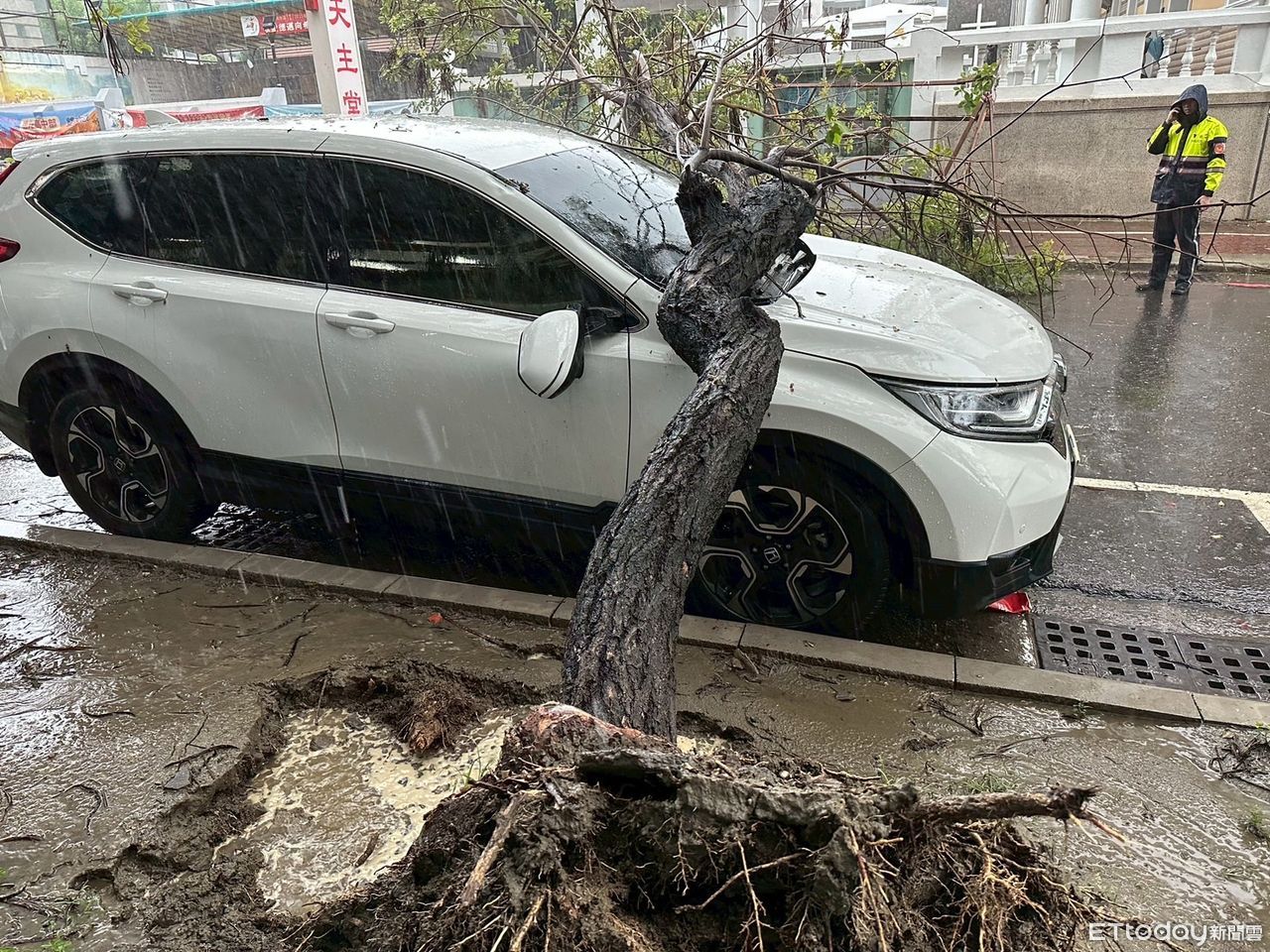 熱帶低壓狂灌台南！ 南寧街路樹倒塌警雨中拉封鎖線守安全