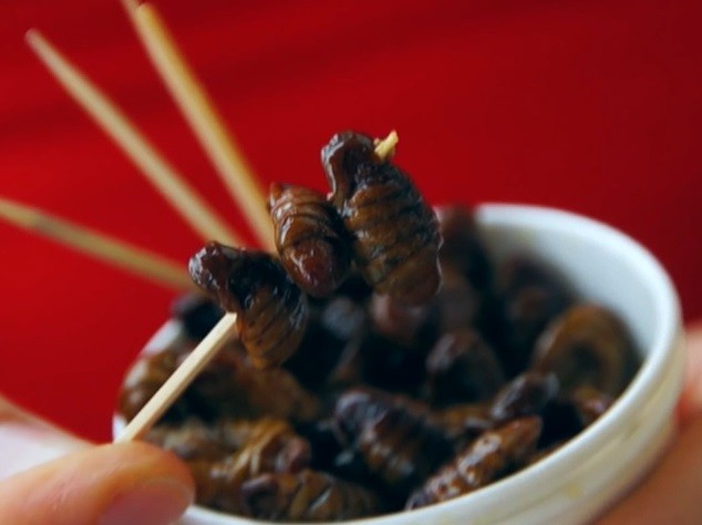 南韓「詭食」又一項，老外吃蠶蛹臉變形：喔，它好多汁..。（圖／翻攝Youtube）