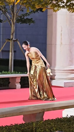 ▲王子文紅毯跌倒。（圖／翻攝自微博／娛婆）