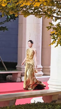 ▲王子文紅毯跌倒。（圖／翻攝自微博／娛婆）