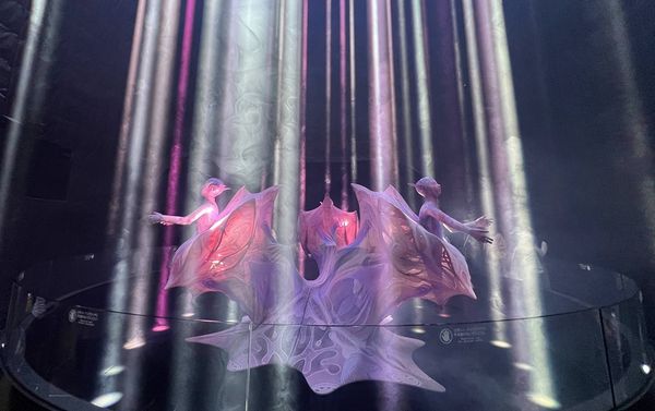 ▲▼2025大阪世界博覽會推薦必看展館：《Future of Life／いのちの未来》。（圖／部落客CJ夫人授權提供）