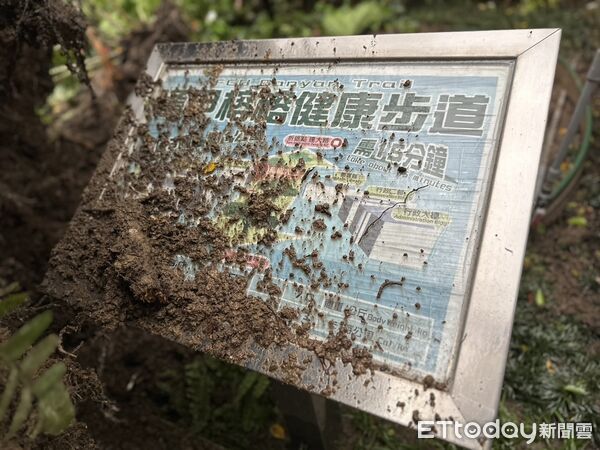 ▲▼             台中逢甲大學「榕榕健康步道(榕榕大道)」的路樹倒塌，造成1人身亡、3人輕傷。（圖／記者白珈陽攝，下同）