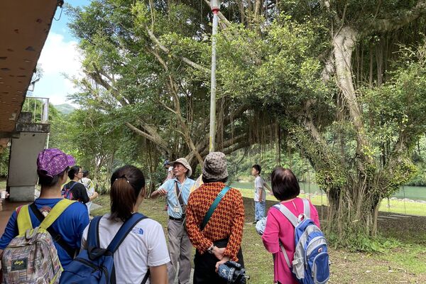 ▲坪林茶業博物館旁廣場辦有展售市集,「白鷺鷥公寓」,新北好茶展售市集。（圖／新北市政府農業局提供）