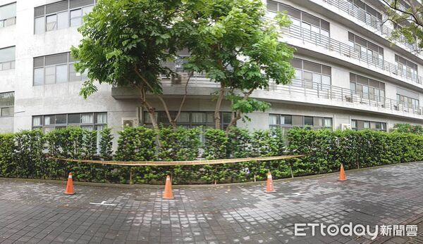 ▲▼逢甲大學樹倒壓死學生，校內目前尚有5棵樹列管。（圖／記者白珈陽攝）
