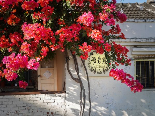 ▲▼「肥春號Fatchun Cafe」隱藏恆春小鎮中的人氣咖啡廳，IG拍照熱門恆春景點。（圖／部落客黑皮提供）