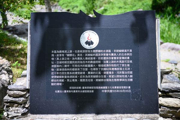▲▼「台東延平蝴蝶谷秘境」免門票天然戲水池，賞蝴蝶泡腳，享受魚吃腳皮好放鬆！（圖／部落客滿分提供）